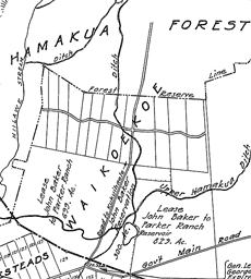 1928 map